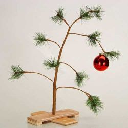Christmas Trees! Charlie-brown-christmas-tree-scaled500